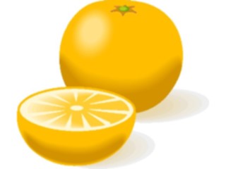 Sticker Custom Preview Image #064080 Food Drink Fruits Oranges08