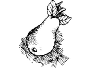 Sticker Custom Preview Image #064133 Food Drink Fruits Pear19