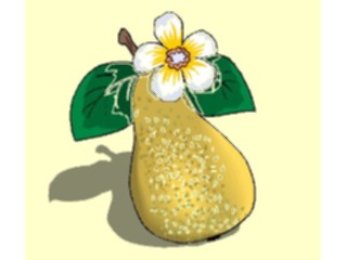 Sticker Custom Preview Image #064146 Food Drink Fruits Pear32