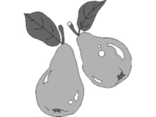 Sticker Custom Preview Image #064158 Food Drink Fruits Pears03