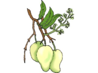 Sticker Custom Preview Image #064163 Food Drink Fruits Pears08