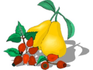 Sticker Custom Preview Image #064164 Food Drink Fruits Pears09
