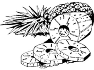 Sticker Custom Preview Image #064166 Food Drink Fruits Pineapple01