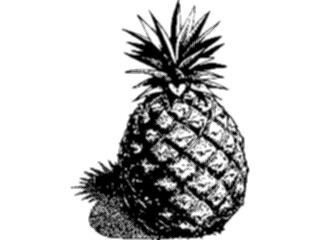 Sticker Custom Preview Image #064167 Food Drink Fruits Pineapple02