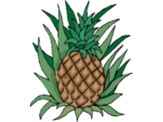 Sticker Custom Preview Image #064181 Food Drink Fruits Pineapple16