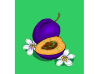 Sticker Custom Preview Image #064185 Food Drink Fruits Plum3