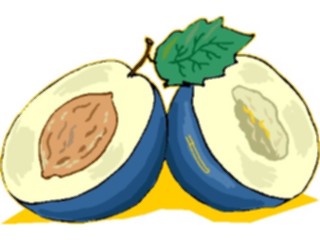 Sticker Custom Preview Image #064186 Food Drink Fruits Plum4