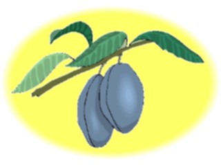 Sticker Custom Preview Image #064189 Food Drink Fruits Plums3