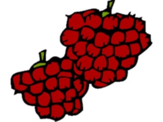 Sticker Custom Preview Image #064192 Food Drink Fruits Raspberries2