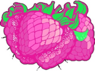 Sticker Custom Preview Image #064193 Food Drink Fruits Raspberries3