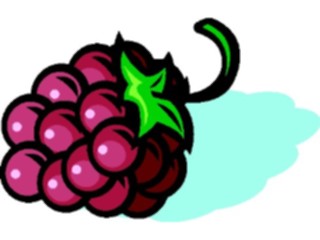 Sticker Custom Preview Image #064196 Food Drink Fruits Raspberry1