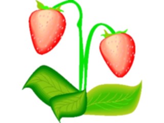 Sticker Custom Preview Image #064211 Food Drink Fruits Strawberries14