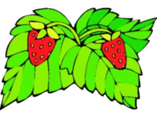 Sticker Custom Preview Image #064215 Food Drink Fruits Strawberries18