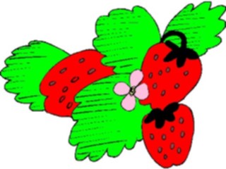 Sticker Custom Preview Image #064219 Food Drink Fruits Strawberries22