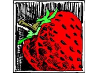 Sticker Custom Preview Image #064242 Food Drink Fruits Strawberry20