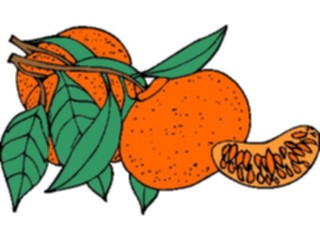 Sticker Custom Preview Image #064255 Food Drink Fruits Tangerine2