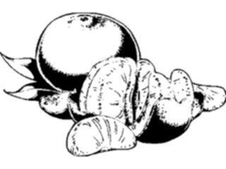 Sticker Custom Preview Image #064257 Food Drink Fruits Tangerines