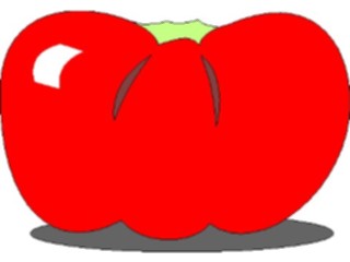 Sticker Custom Preview Image #064259 Food Drink Fruits Tomato02