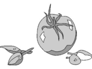 Sticker Custom Preview Image #064262 Food Drink Fruits Tomato05