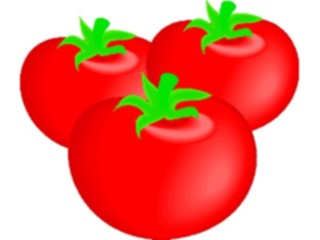 Sticker Custom Preview Image #064301 Food Drink Fruits Tomatoes11
