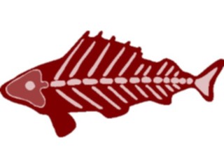 Sticker Custom Preview Image #064765 Food Drink Seafood Fish Skeleton4