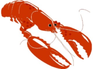 Sticker Custom Preview Image #064771 Food Drink Seafood Lobster1