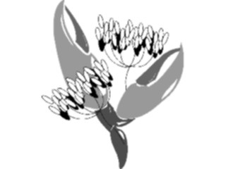 Sticker Custom Preview Image #064782 Food Drink Seafood Lobster Decoration2