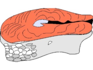 Sticker Custom Preview Image #064794 Food Drink Seafood Salmon6