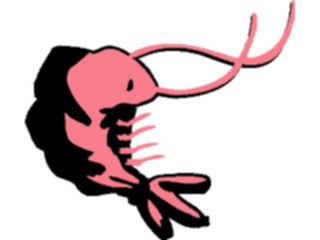 Sticker Custom Preview Image #064815 Food Drink Seafood Shrimp06