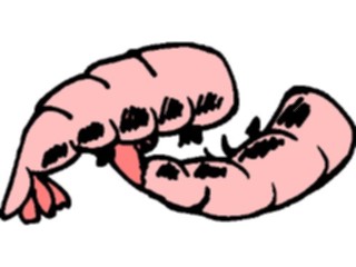 Sticker Custom Preview Image #064825 Food Drink Seafood Shrimp16