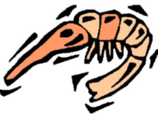 Sticker Custom Preview Image #064827 Food Drink Seafood Shrimp18