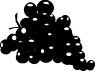 Sticker Custom Preview Image #064899 Food Drink Silhouettes Grapes5