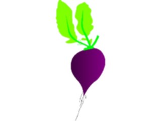 Sticker Custom Preview Image #065033 Food Drink Veggies Beet5