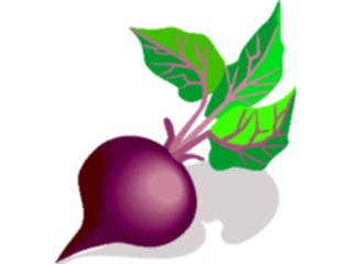 Sticker Custom Preview Image #065034 Food Drink Veggies Beet6