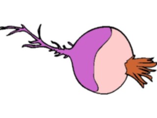 Sticker Custom Preview Image #065035 Food Drink Veggies Beet7