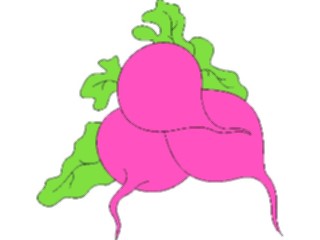 Sticker Custom Preview Image #065037 Food Drink Veggies Beets