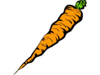 Sticker Custom Preview Image #065085 Food Drink Veggies Carrot04