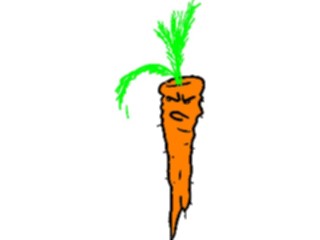 Sticker Custom Preview Image #065087 Food Drink Veggies Carrot06