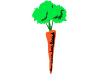 Sticker Custom Preview Image #065090 Food Drink Veggies Carrot09