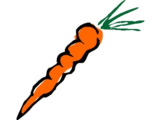 Sticker Custom Preview Image #065094 Food Drink Veggies Carrot13