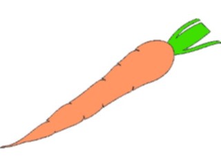 Sticker Custom Preview Image #065097 Food Drink Veggies Carrot16