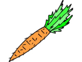 Sticker Custom Preview Image #065098 Food Drink Veggies Carrot17