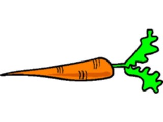 Sticker Custom Preview Image #065101 Food Drink Veggies Carrot20