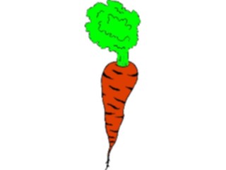Sticker Custom Preview Image #065102 Food Drink Veggies Carrot21