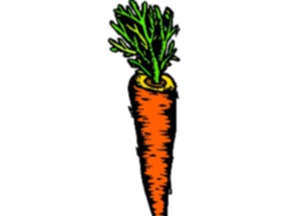 Sticker Custom Preview Image #065106 Food Drink Veggies Carrot25