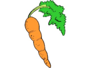 Sticker Custom Preview Image #065110 Food Drink Veggies Carrot29