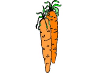 Sticker Custom Preview Image #065123 Food Drink Veggies Carrots08