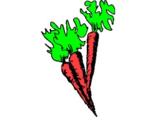 Sticker Custom Preview Image #065126 Food Drink Veggies Carrots11