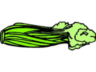 Sticker Custom Preview Image #065146 Food Drink Veggies Celery14