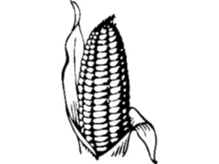 Sticker Custom Preview Image #065201 Food Drink Veggies Corn09